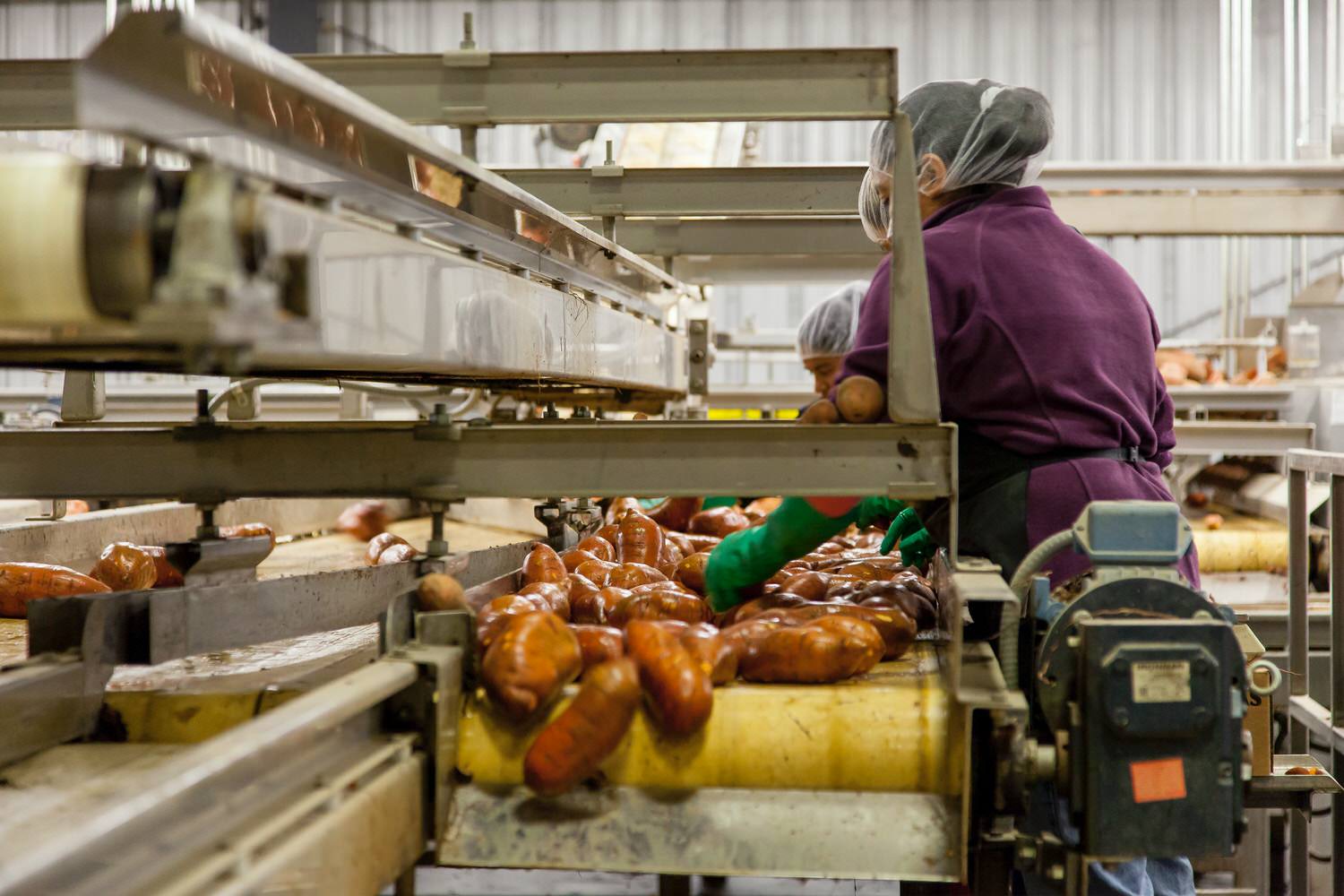 【健管師專欄】你吃的是加工食品還是「超加工食品」?什麼是超加工食品?就算研究證實危害健康也愛吃的酷東西 - 第3張圖