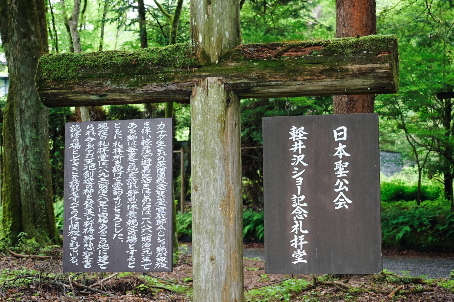 【4天3夜長野自由行】輕井澤交通,天氣,單車,小眾景點|白貓自行車|雲場池|舊近衛文麿別墅|輕井澤蕭紀念禮拜堂 - 第28張圖