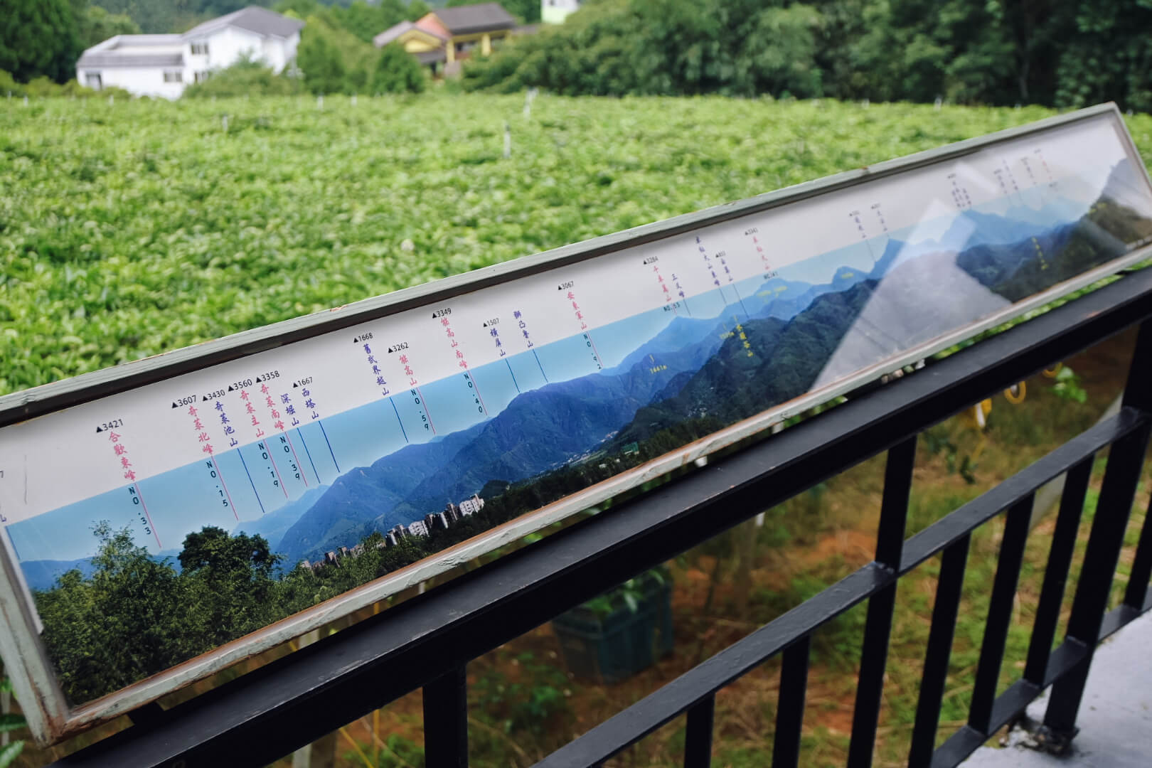 景上景民宿|埔里桃米村3000坪農莊看日出、田園早餐、採果趣 - 第44張圖