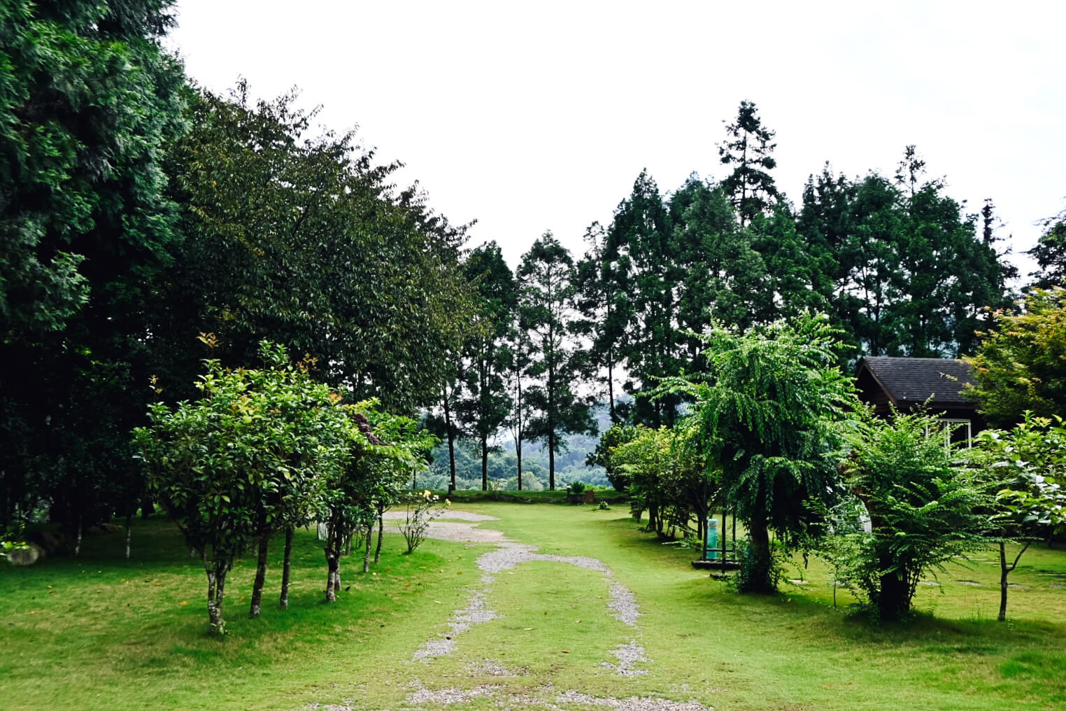 景上景民宿|埔里桃米村3000坪農莊看日出、田園早餐、採果趣 - 第18張圖