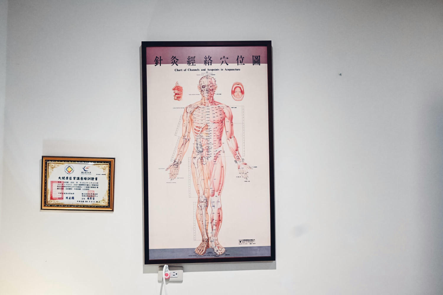 【健管師專欄】什麼是同頻共振?音樂能治療情緒?威音王聲波科技4D沉浸未來椅音療體驗 - 第25張圖