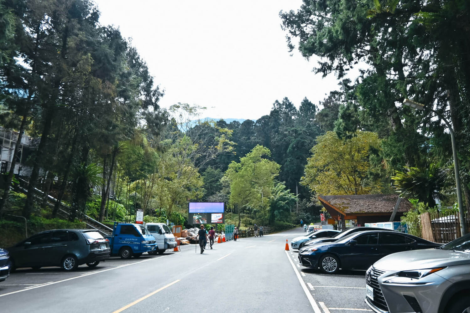 11月溪頭森林遊樂園區半日遊!路線規劃、景點餐飲、門票優惠 - 第12張圖