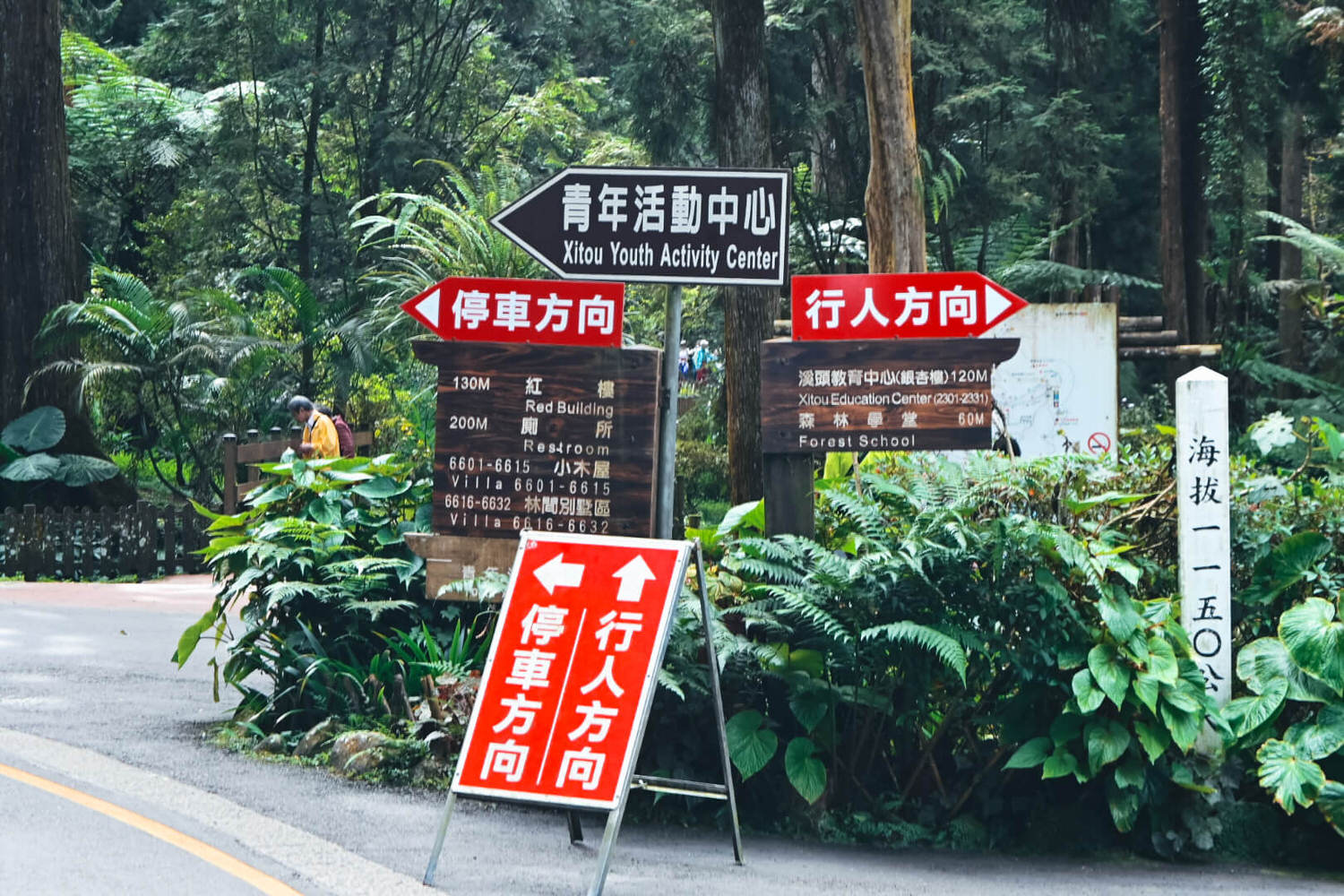 11月溪頭森林遊樂園區半日遊!路線規劃、景點餐飲、門票優惠 - 第13張圖