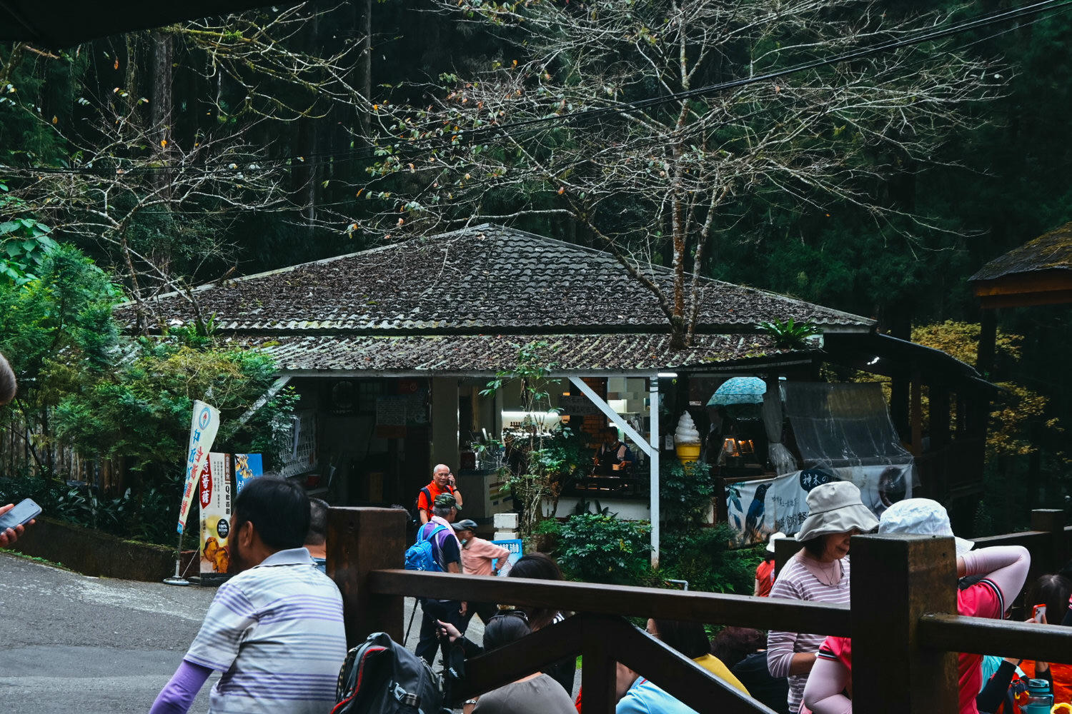 11月溪頭森林遊樂園區半日遊!路線規劃、景點餐飲、門票優惠 - 第3張圖