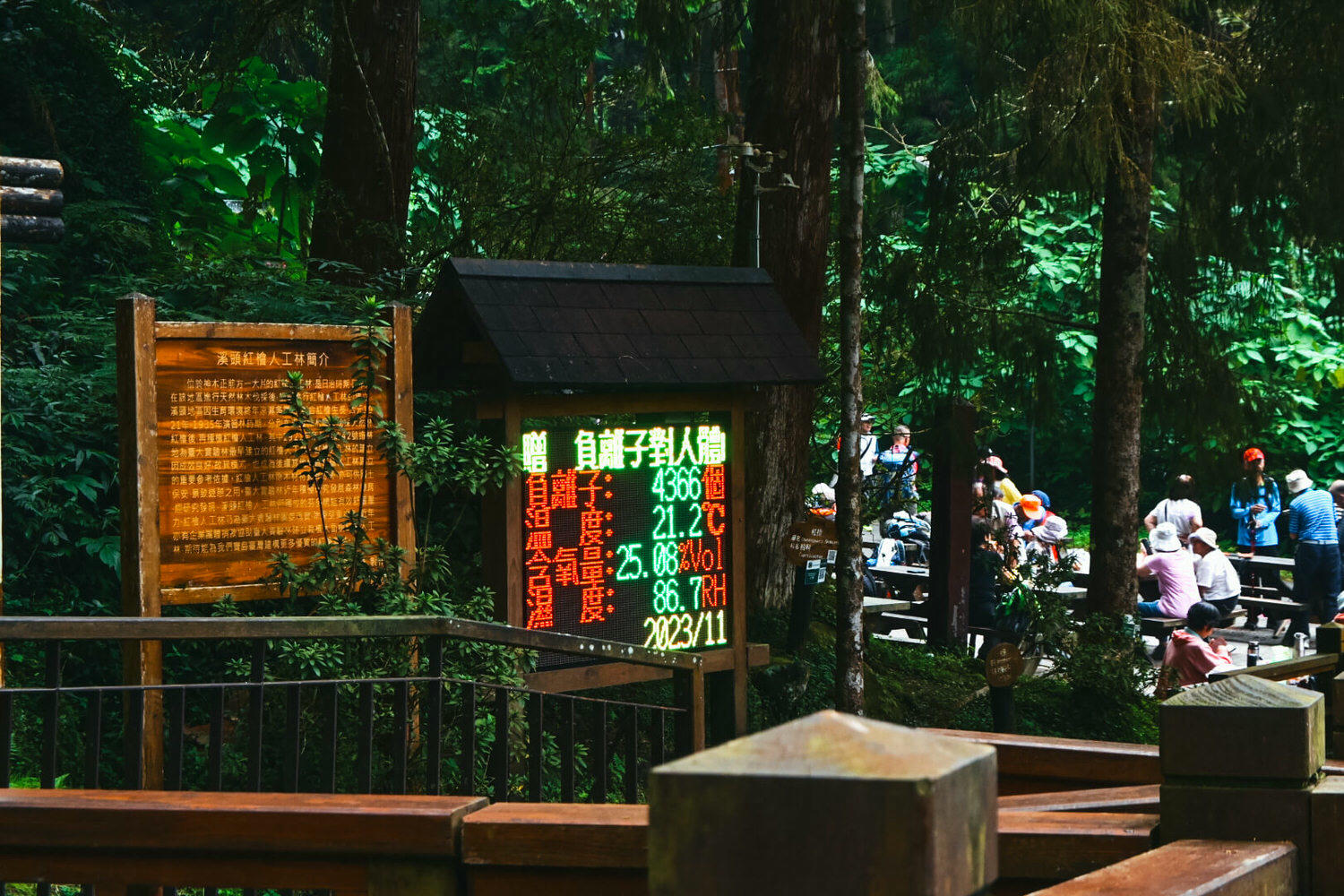 11月溪頭森林遊樂園區半日遊!路線規劃、景點餐飲、門票優惠 - 第33張圖