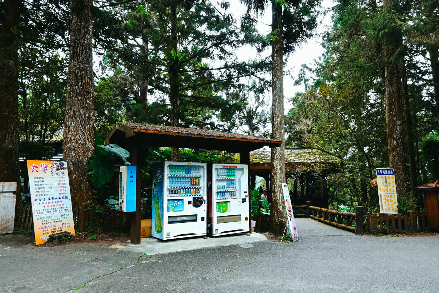 11月溪頭森林遊樂園區半日遊!路線規劃、景點餐飲、門票優惠 - 第39張圖