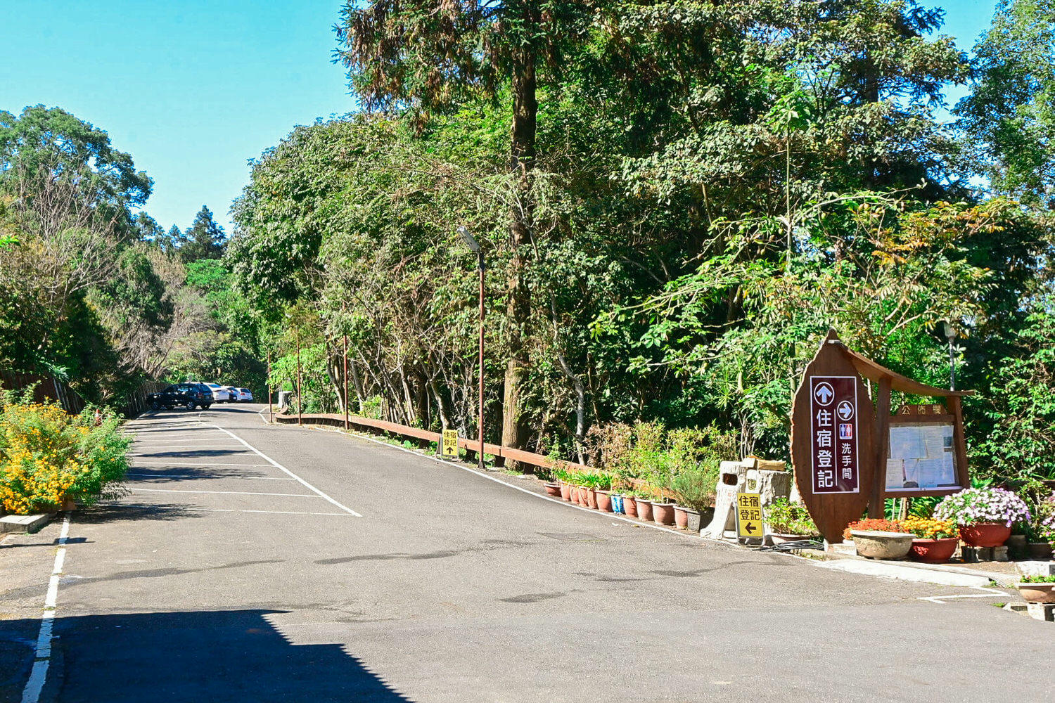 臺大實驗林鳳凰自然教育園區交通、門票|5分鐘抵達觀景迴廊山稜美景 - 第3張圖