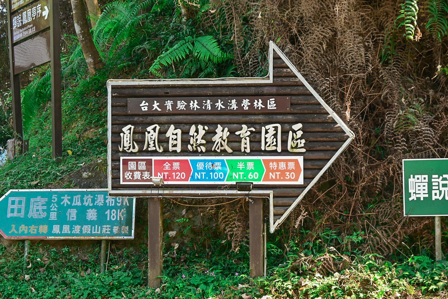 臺大實驗林鳳凰自然教育園區交通、門票|5分鐘抵達觀景迴廊山稜美景 - 第1張圖