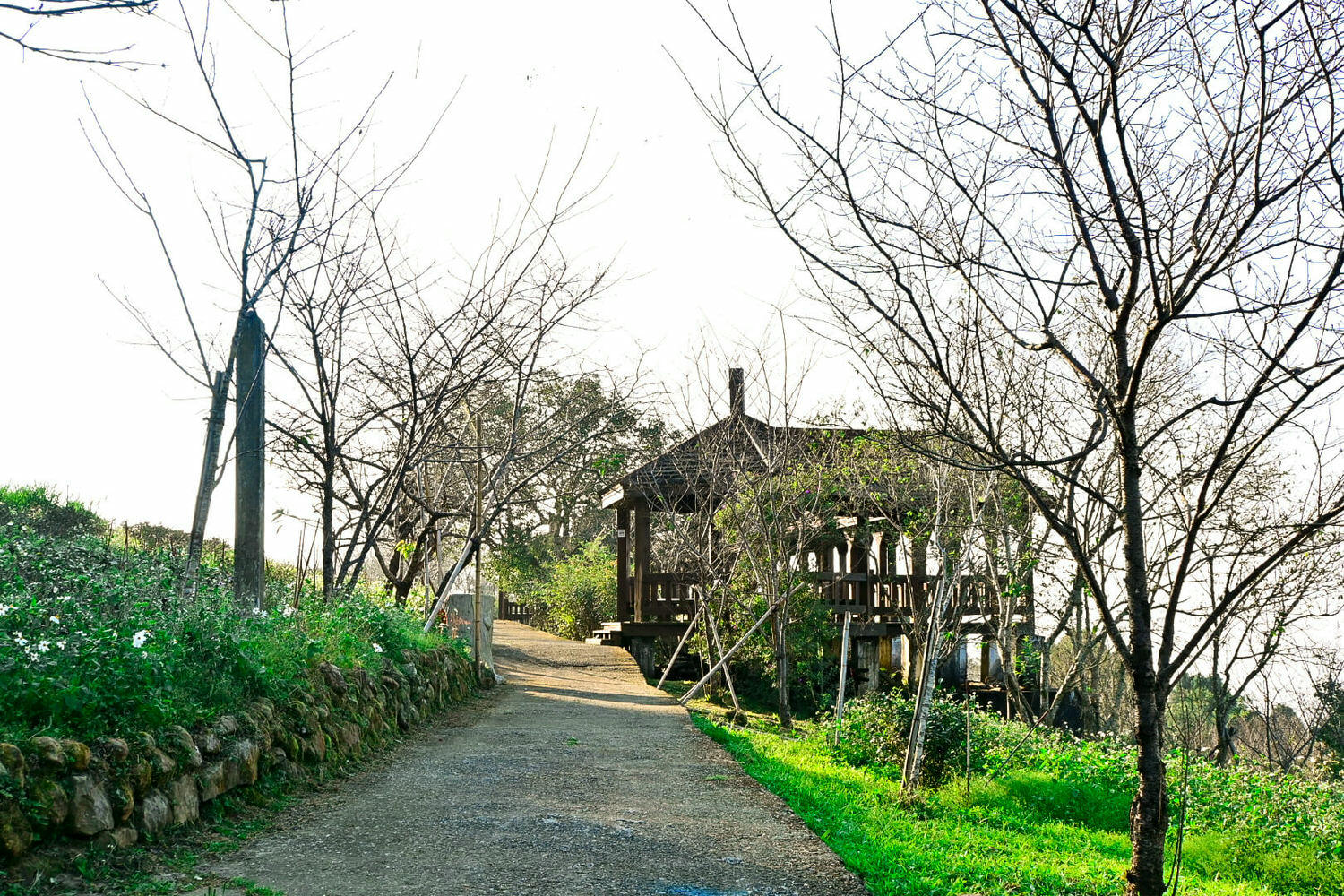 臺大實驗林鳳凰自然教育園區交通、門票|5分鐘抵達觀景迴廊山稜美景 - 第14張圖
