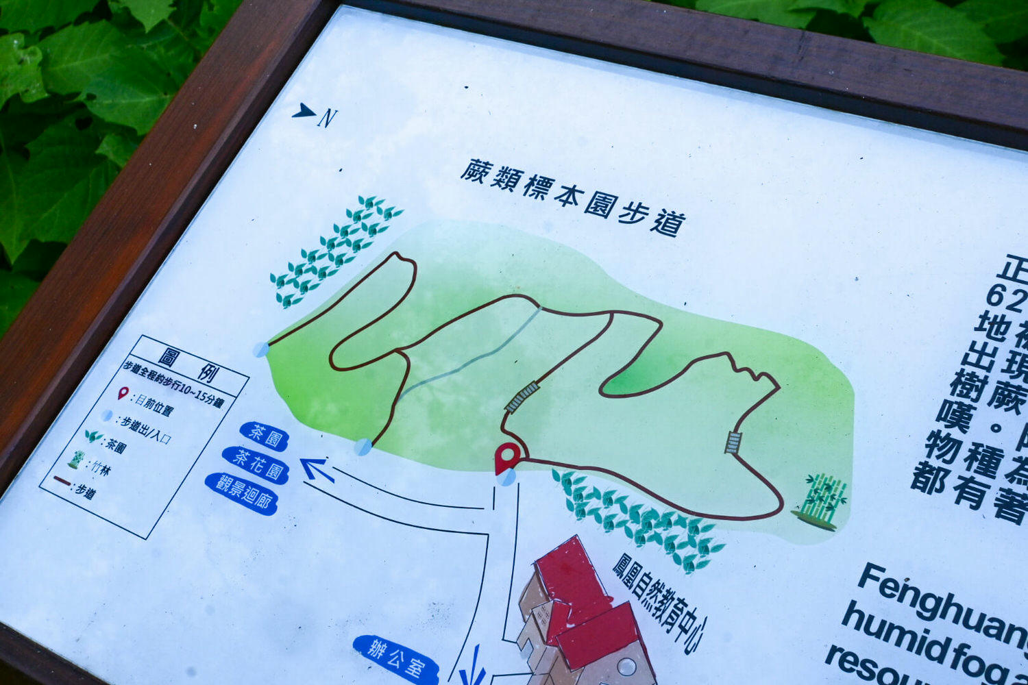 臺大實驗林鳳凰自然教育園區交通、門票|5分鐘抵達觀景迴廊山稜美景 - 第21張圖