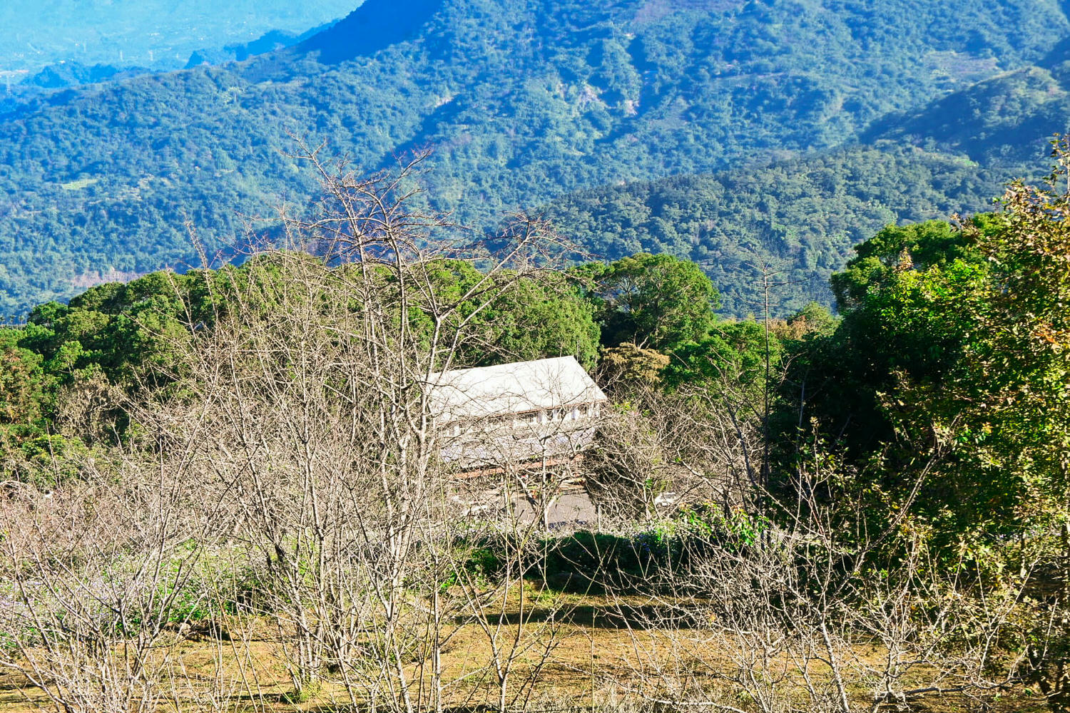 臺大實驗林鳳凰自然教育園區交通、門票|5分鐘抵達觀景迴廊山稜美景 - 第10張圖