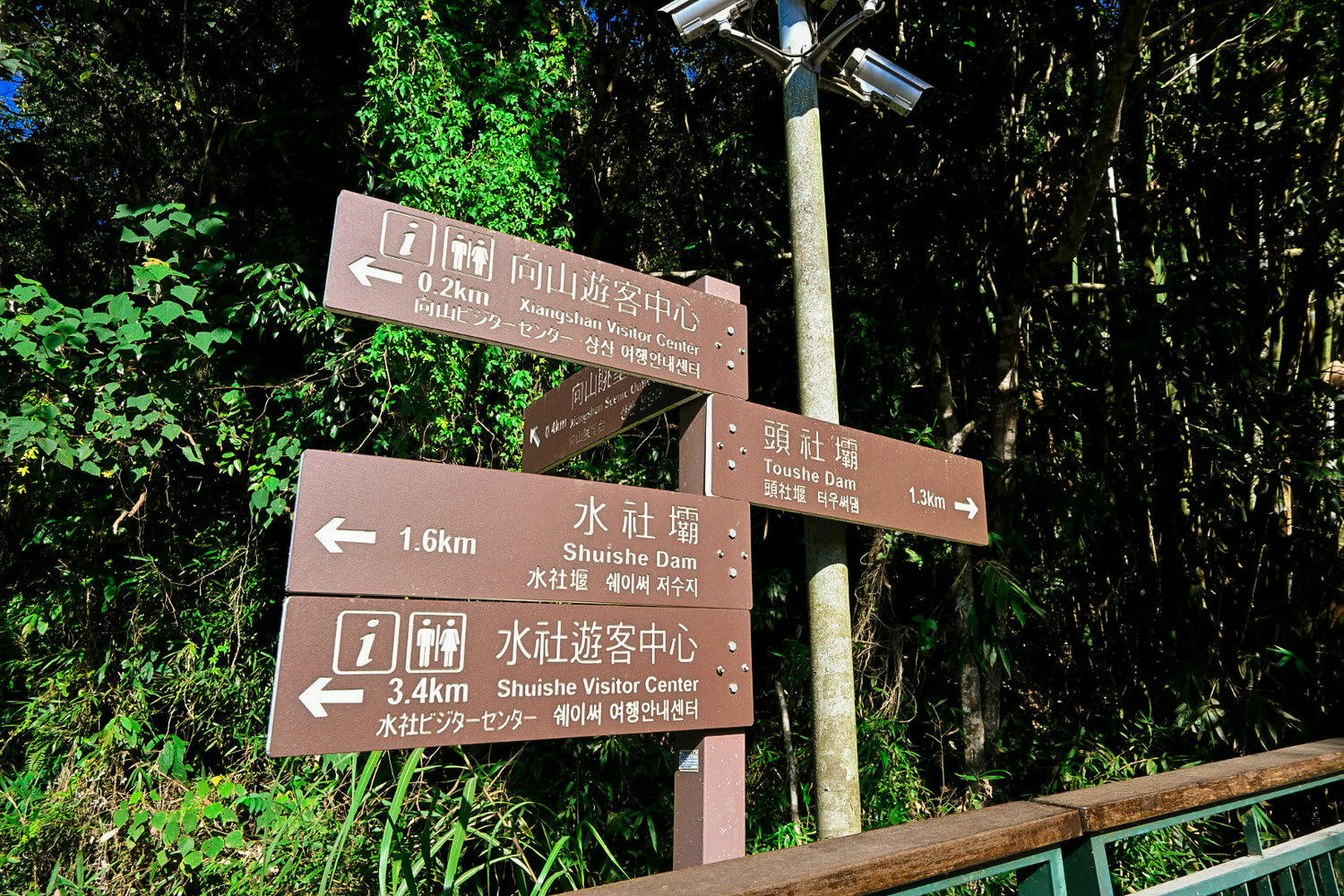 【南投景點】日月潭自行車道6攻略!日月潭租腳踏車推薦心得、價格|向山月潭秘境 - 第41張圖