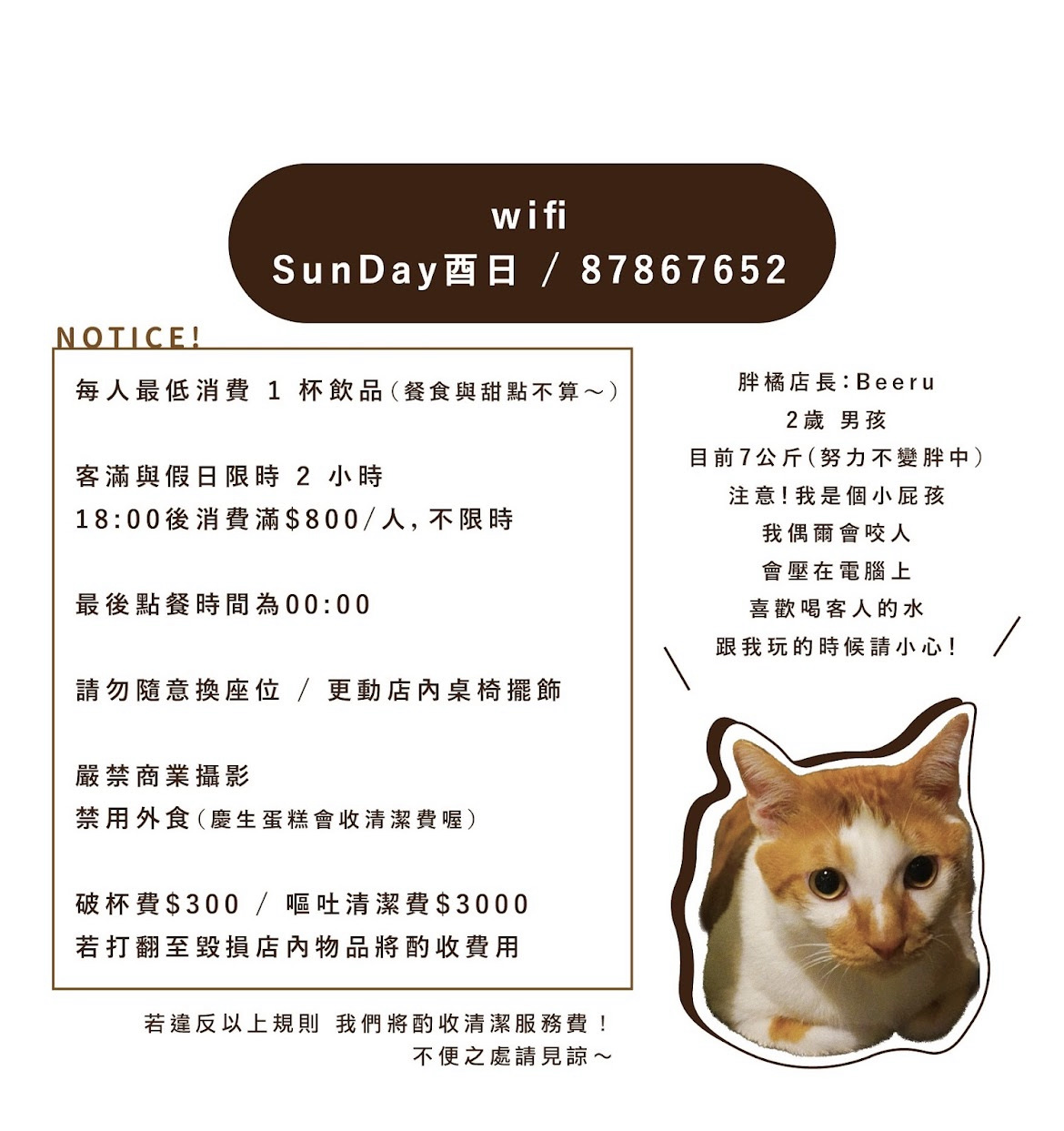 SunDay酉日咖啡吧|大人系台北提拉米蘇推薦No.1!濃郁質感深夜咖啡廳酒吧(已搬遷) - 第16張圖