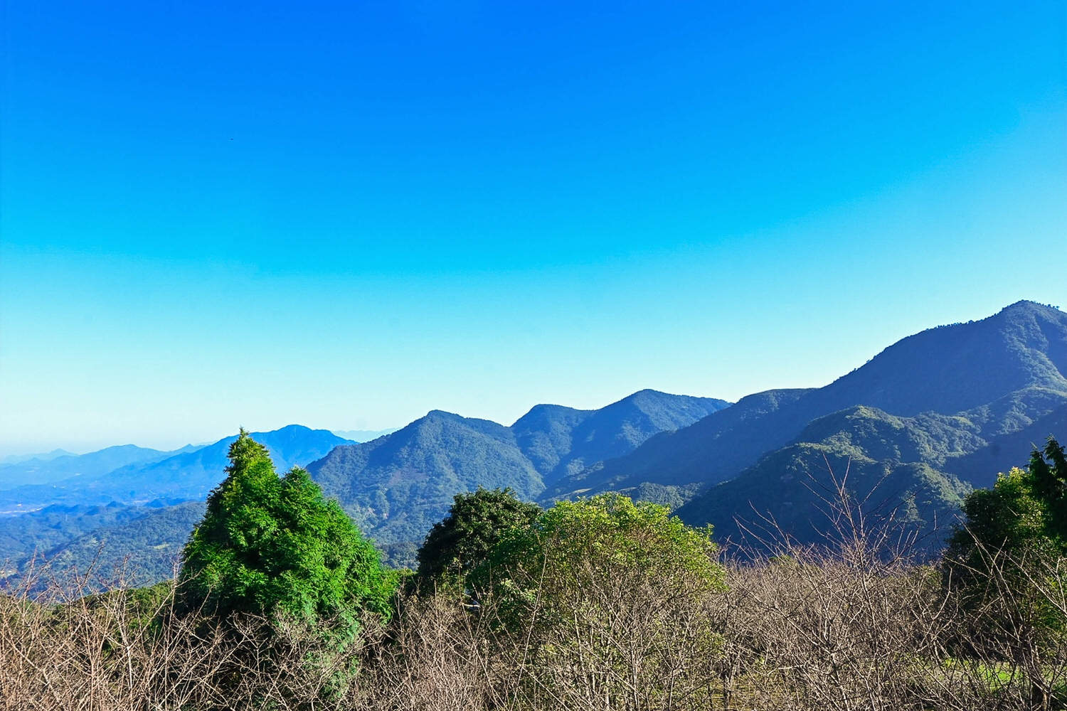 臺大實驗林鳳凰自然教育園區交通、門票|5分鐘抵達觀景迴廊山稜美景 - 第19張圖