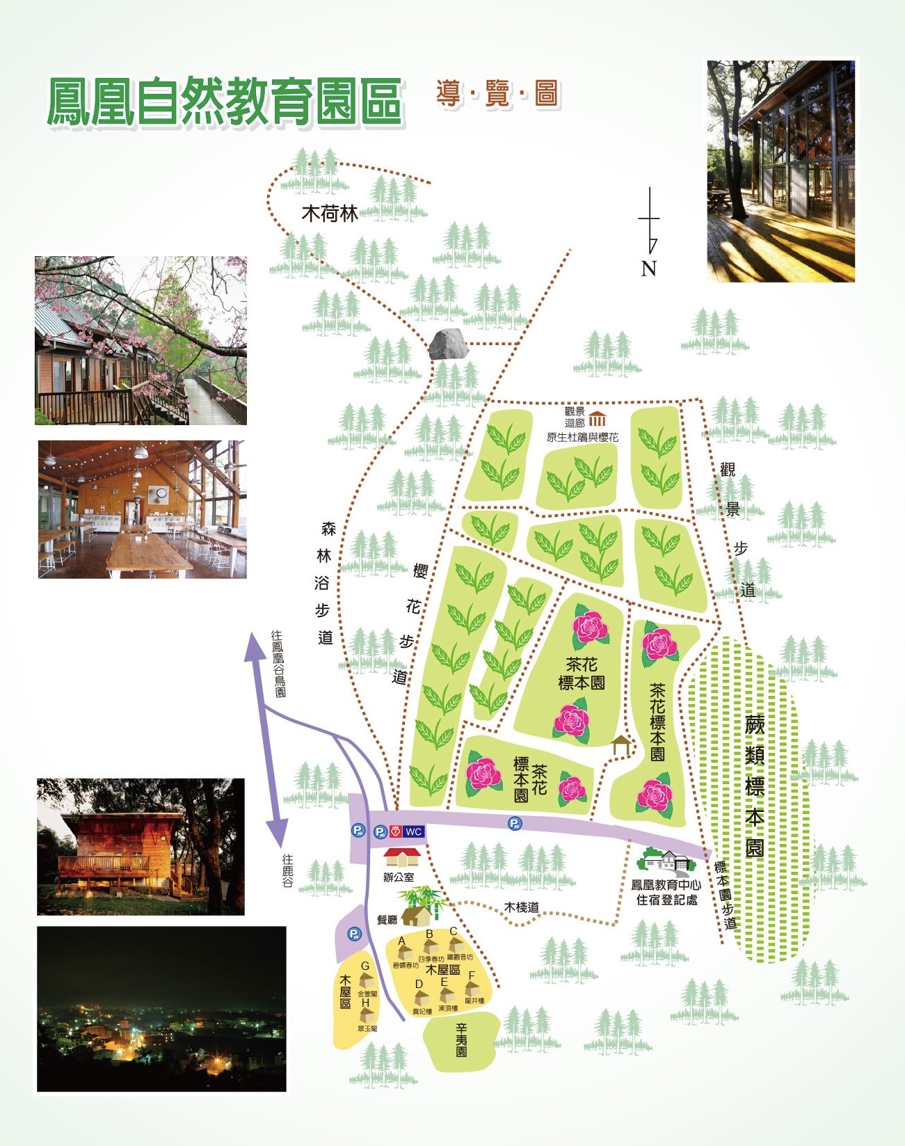 臺大實驗林鳳凰自然教育園區交通、門票|5分鐘抵達觀景迴廊山稜美景 - 第5張圖