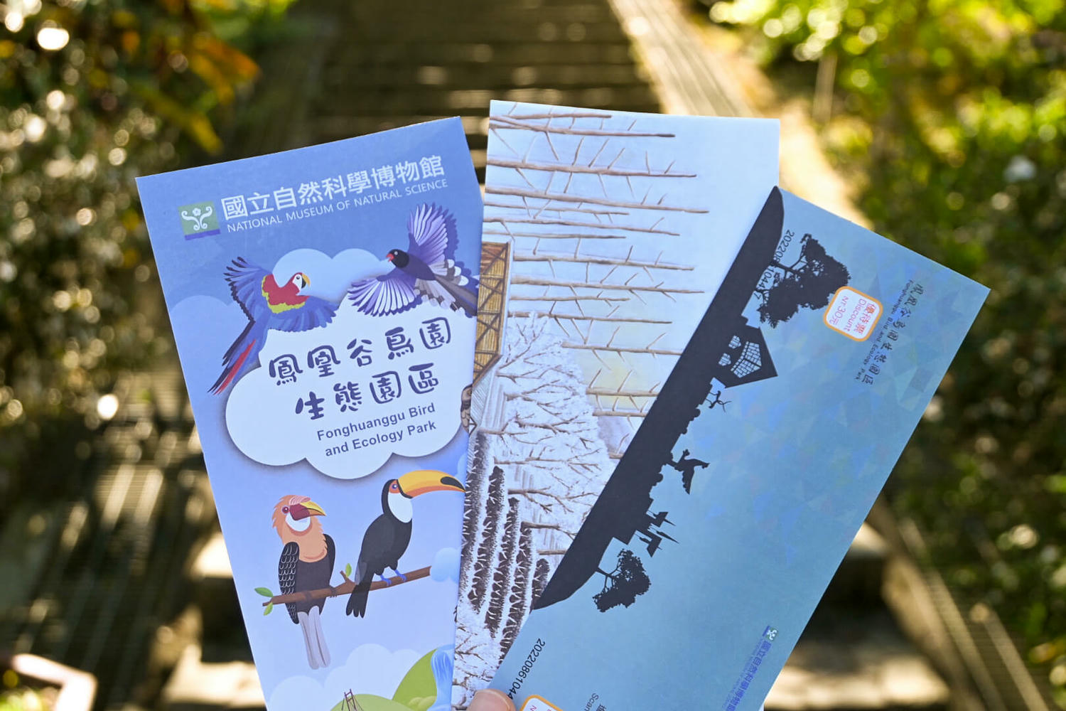 50元遊鳳凰谷鳥園生態園區3小時全攻略!門票餐飲、鳳凰谷瀑布、好漢坡 - 第5張圖