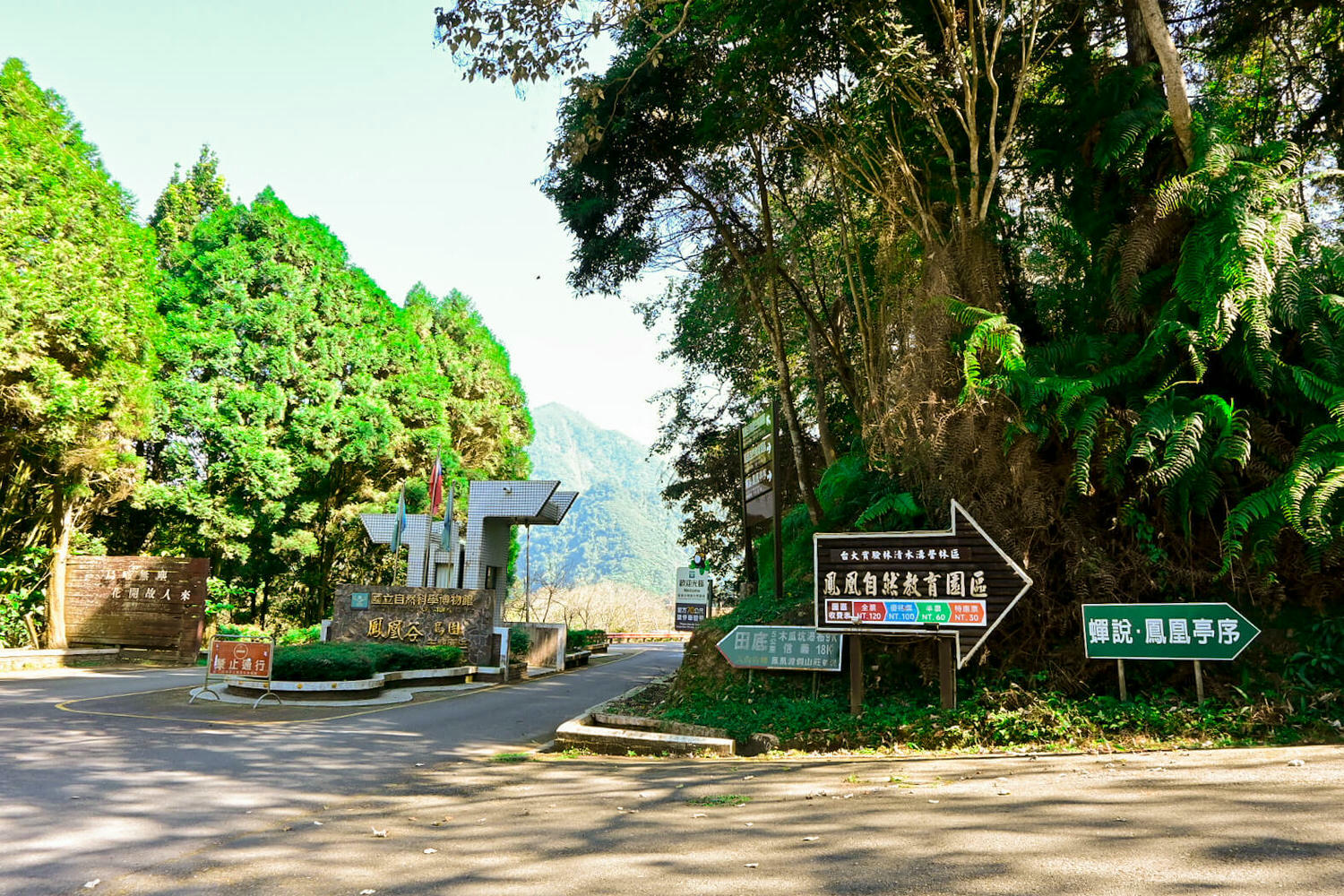 南投鹿谷景點鳳凰谷鳥園生態園區