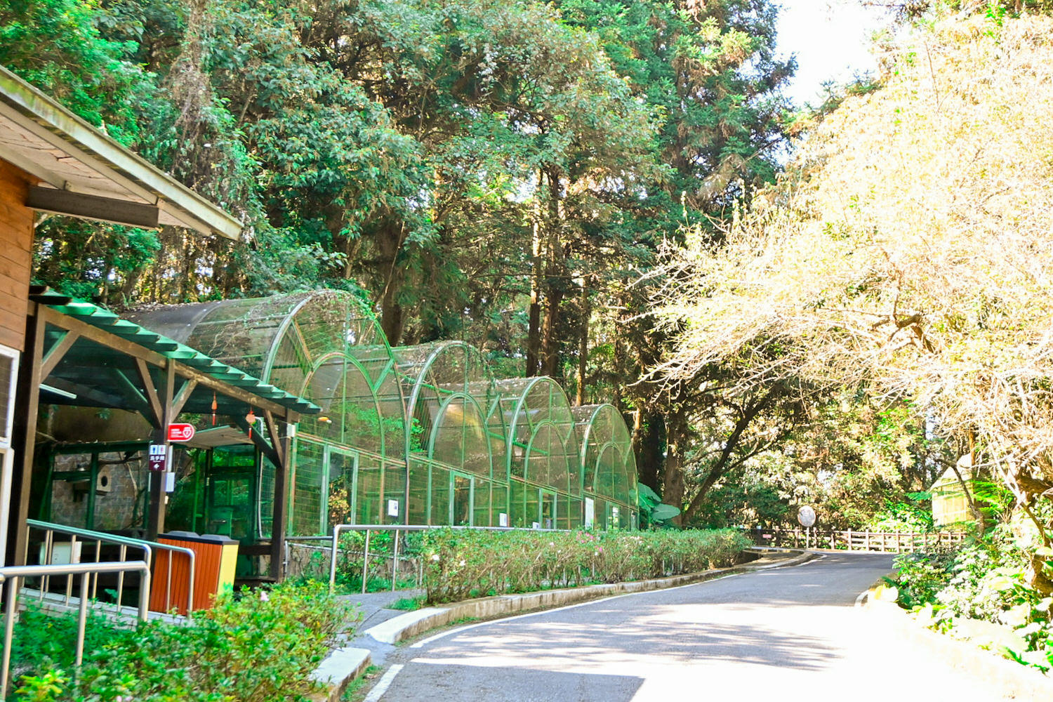 50元遊鳳凰谷鳥園生態園區3小時全攻略!門票餐飲、鳳凰谷瀑布、好漢坡 - 第12張圖