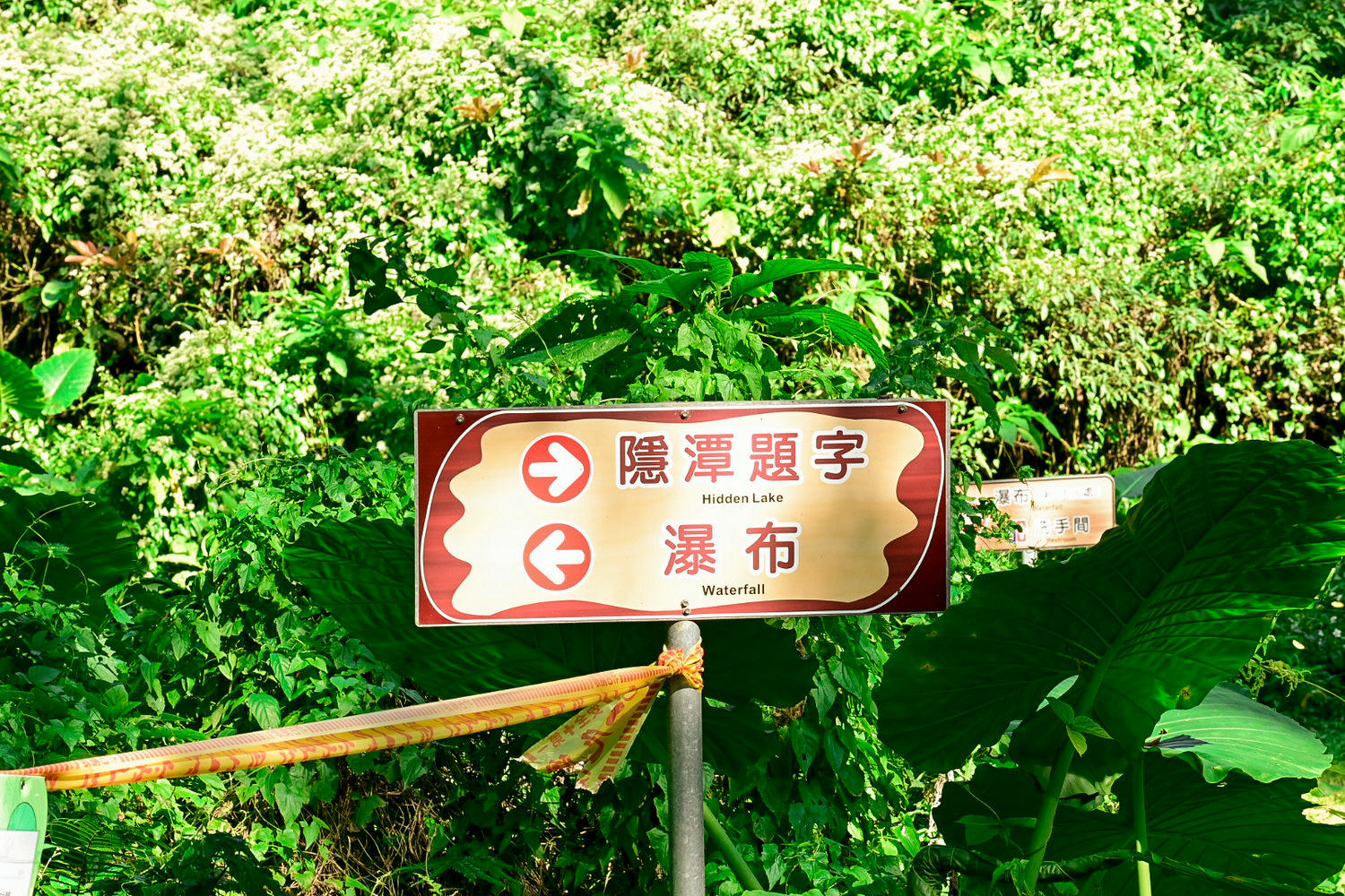 50元遊鳳凰谷鳥園生態園區3小時全攻略!門票餐飲、鳳凰谷瀑布、好漢坡 - 第33張圖