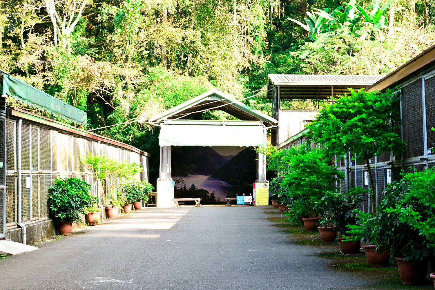 50元遊鳳凰谷鳥園生態園區3小時全攻略!門票餐飲、鳳凰谷瀑布、好漢坡 - 第50張圖
