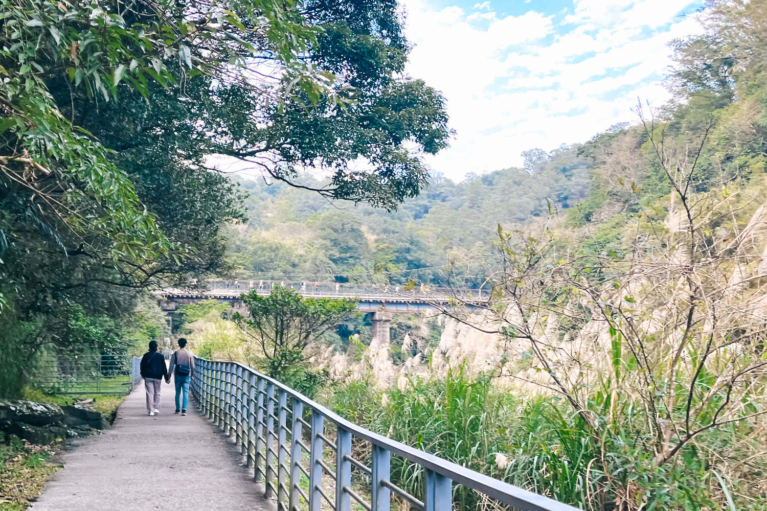 十分瀑布公園免費景點!十分瀑布交通開放時間|平溪1日遊攻略 - 第19張圖