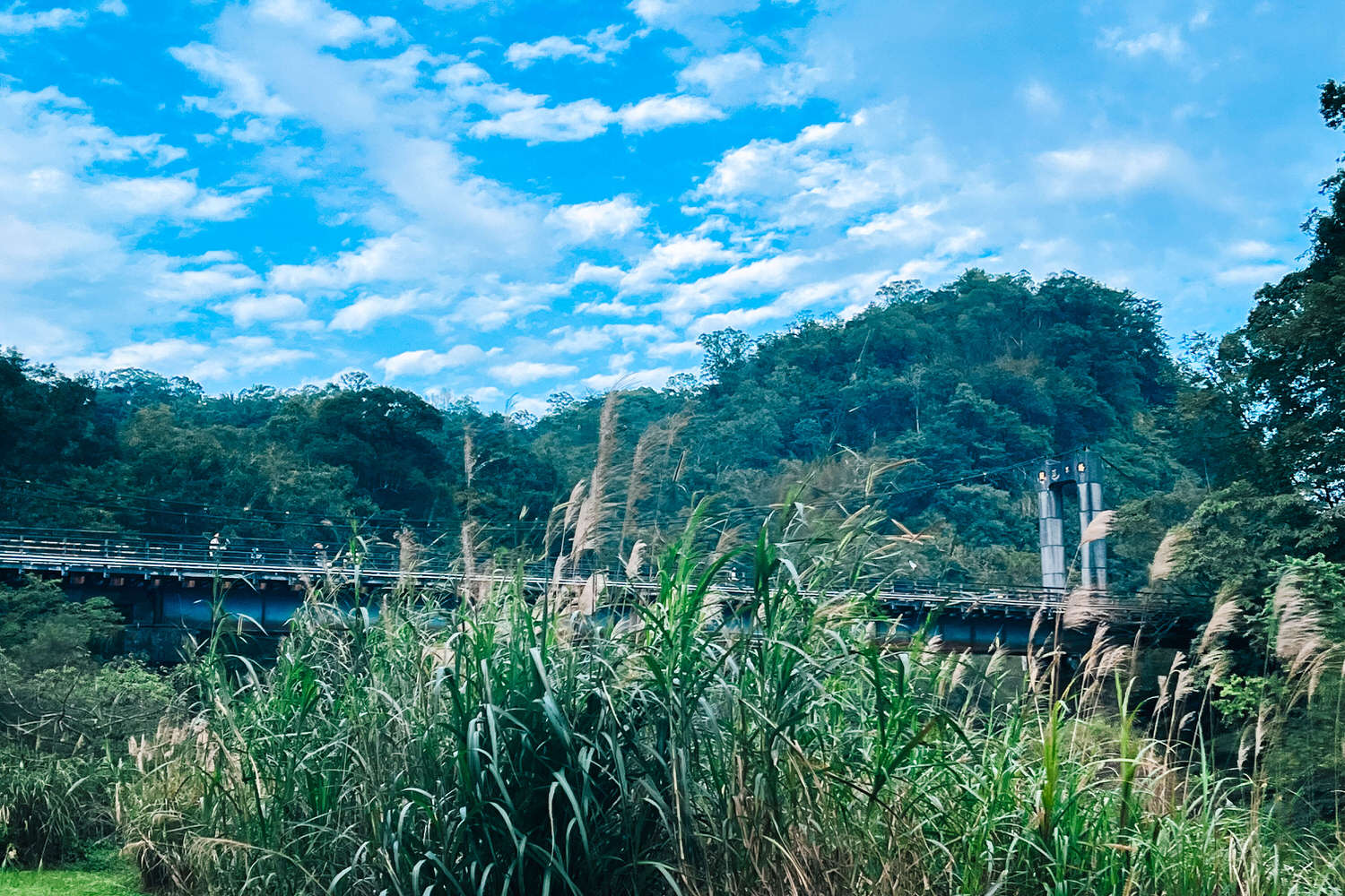 十分瀑布公園免費景點!十分瀑布交通開放時間|平溪1日遊攻略 - 第20張圖