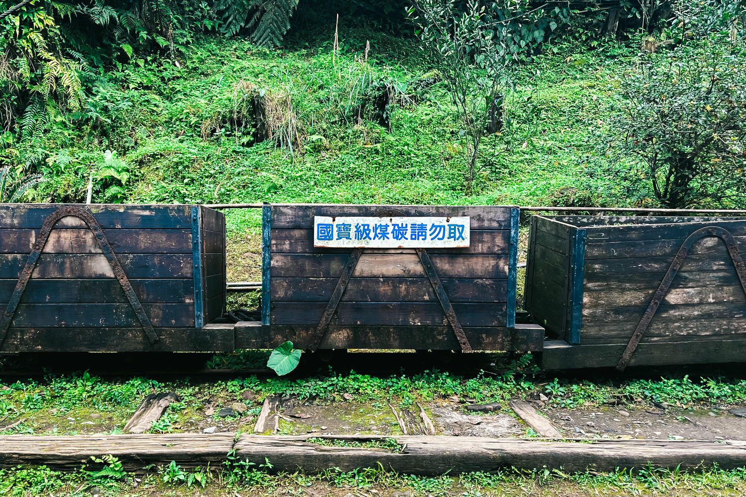 十分瀑布公園免費景點!十分瀑布交通開放時間|平溪1日遊攻略 - 第23張圖