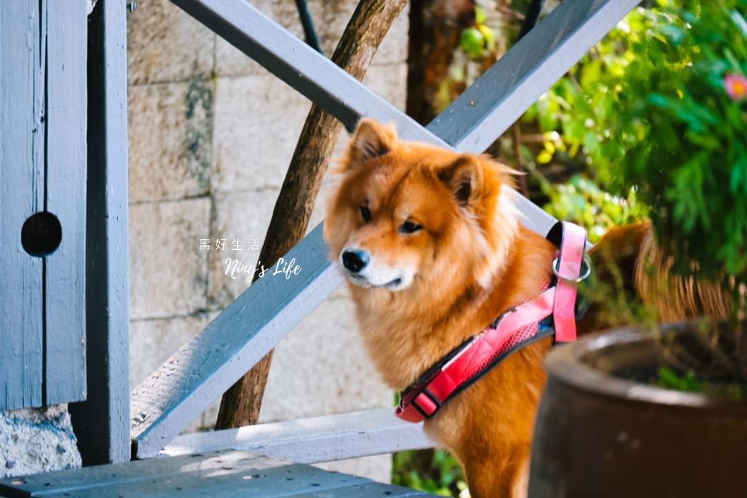清境茲心園渡假山莊|海拔1650清境小木屋包棟民宿推薦 - 第32張圖