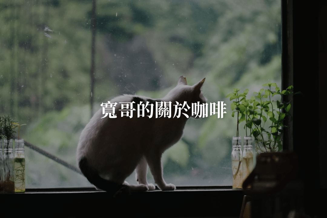 寬哥的關於咖啡故事1