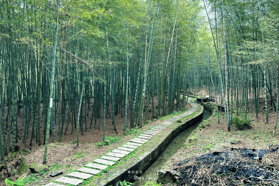鹿谷小半天|孟宗竹林古戰場、長源圳生態步道清幽行 - 第14張圖