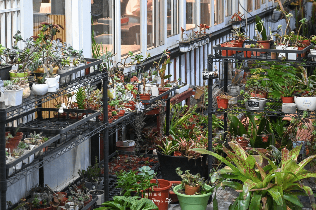 131多肉花園餐廳|甕仔雞套餐免千元、限量生吐司!日月潭餐廳好停車 - 第3張圖
