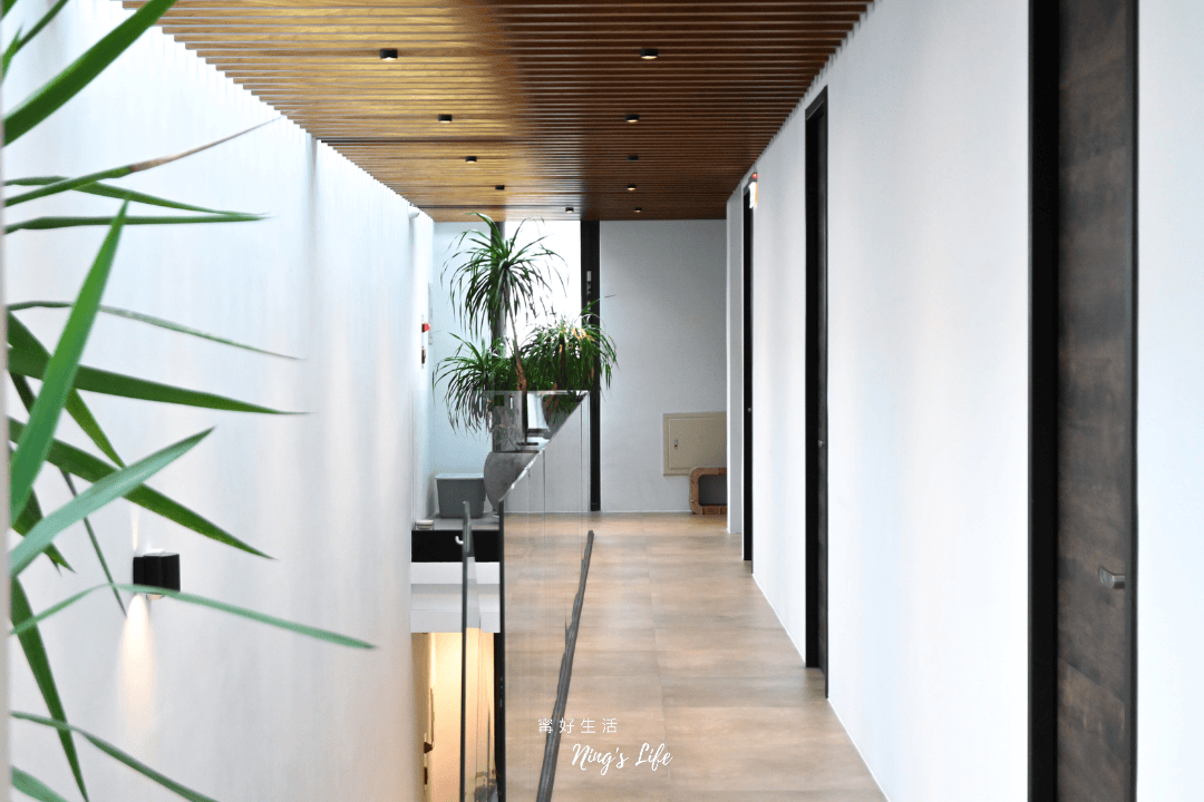 朵麗絲的家|住進7隻貓的慵懶愜意 日月潭寵物友善住宿 - 第16張圖