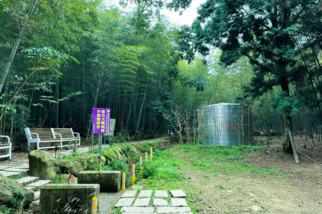鹿谷小半天|孟宗竹林古戰場、長源圳生態步道清幽行 - 第6張圖