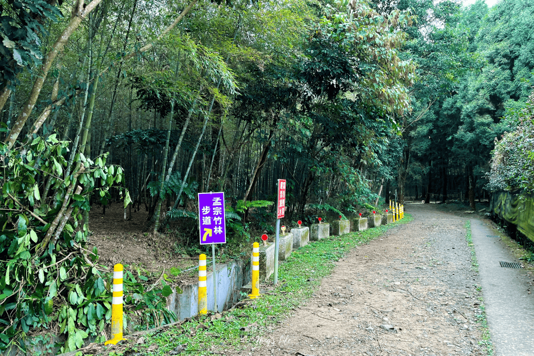 鹿谷小半天|孟宗竹林古戰場、長源圳生態步道清幽行 - 第4張圖