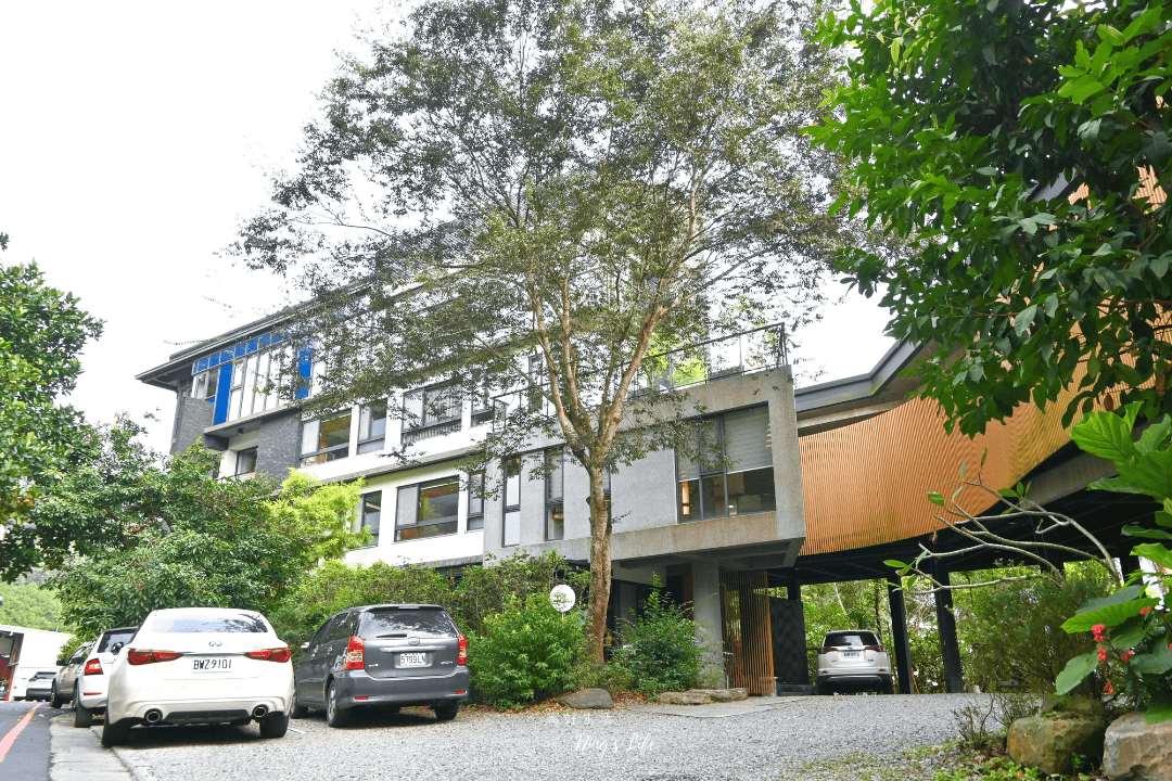 朵麗絲的家|住進7隻貓的慵懶愜意 日月潭寵物友善住宿 - 第1張圖