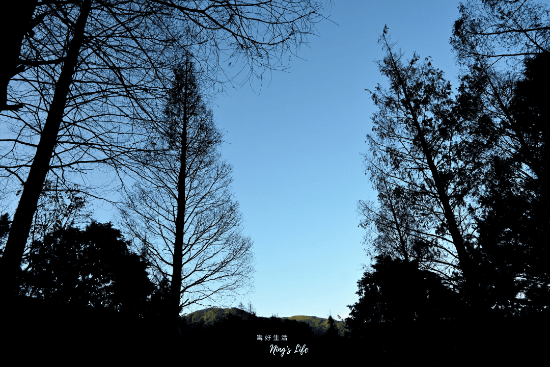 蟬說溪頭生態露營區|第1次露營就上手!森林小屋租借開箱 - 第43張圖
