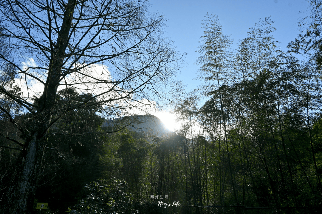 蟬說溪頭生態露營區|第1次露營就上手!森林小屋租借開箱 - 第42張圖