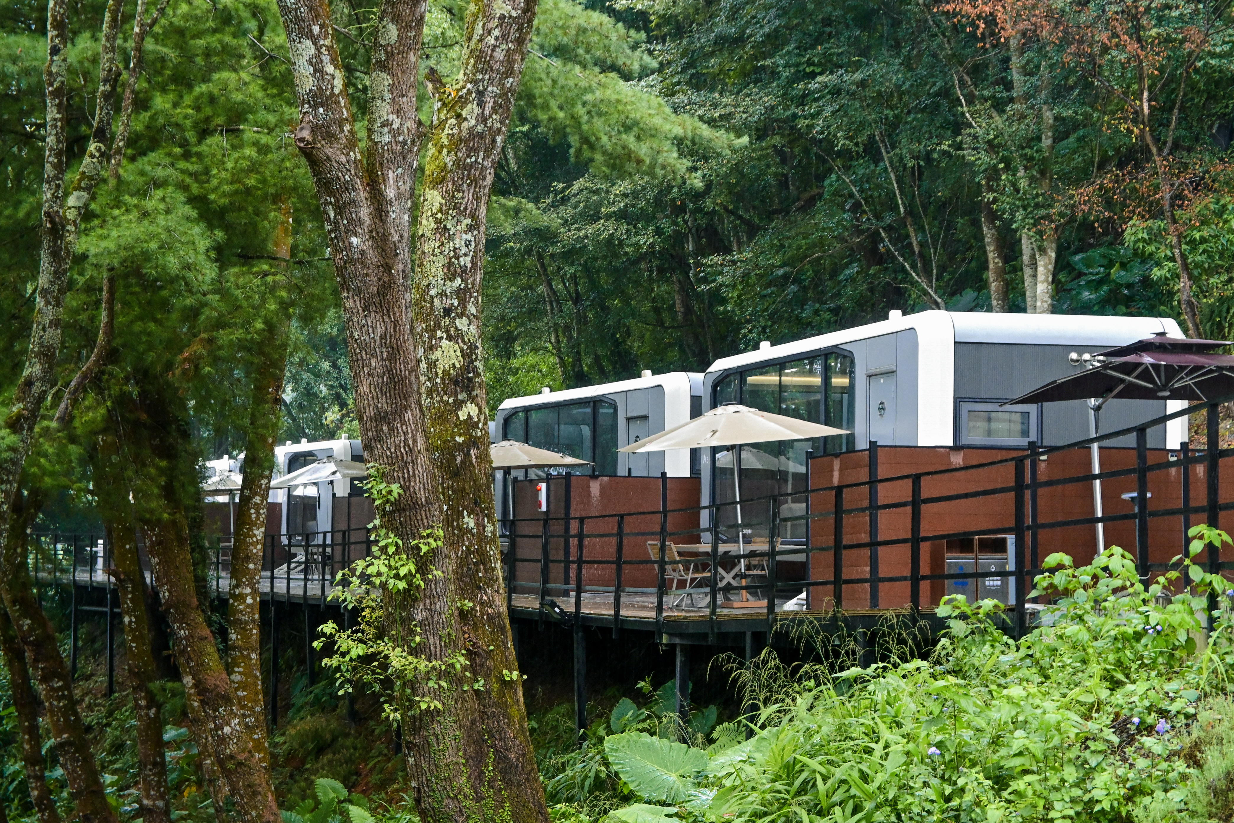 沐蒔居|2025新開幕清境森林系住宿!絕美綠景情侶/親子渡假推薦 - 第19張圖