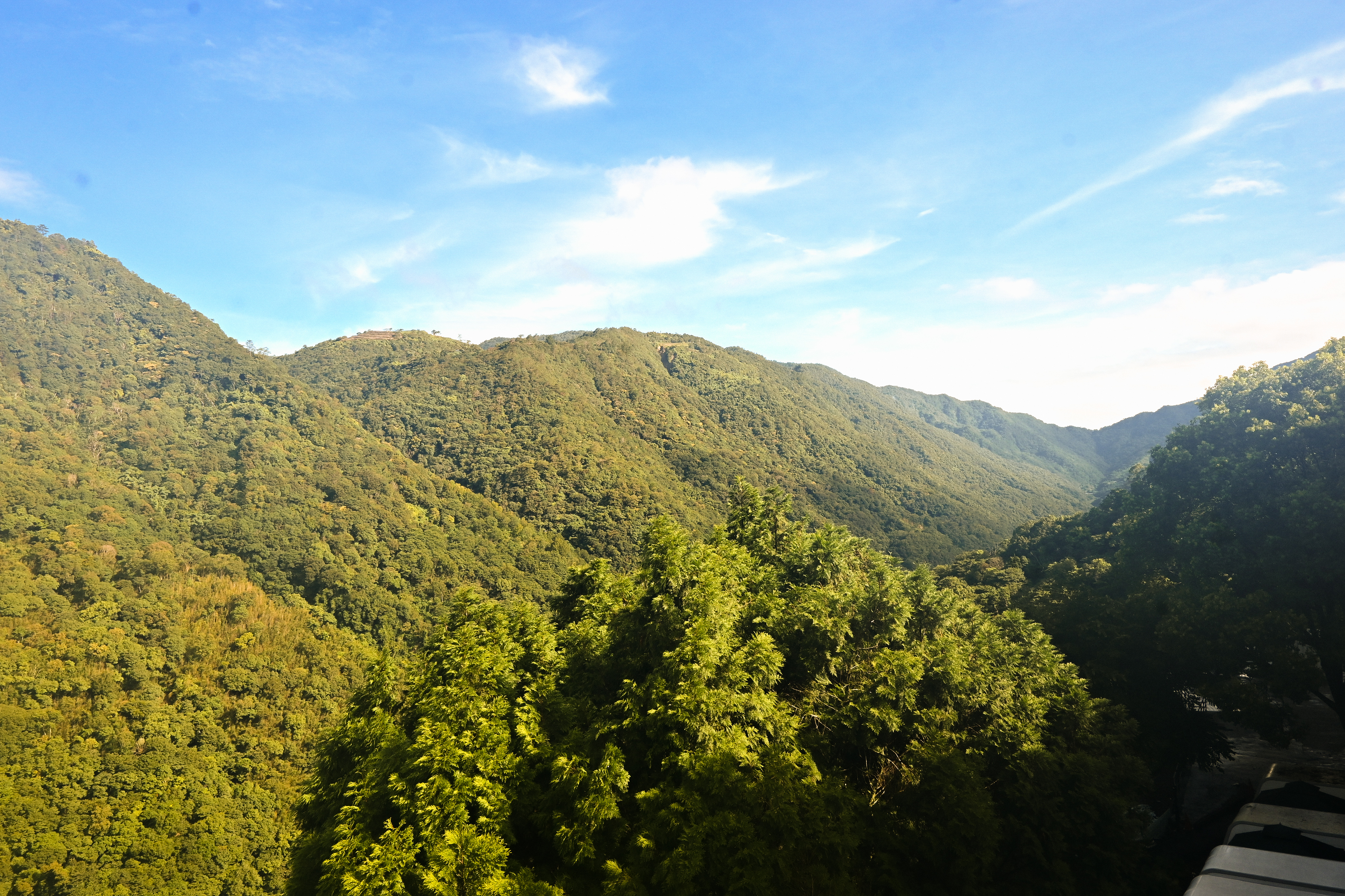 沐蒔居|2025新開幕清境森林系住宿!絕美綠景情侶/親子渡假推薦 - 第13張圖
