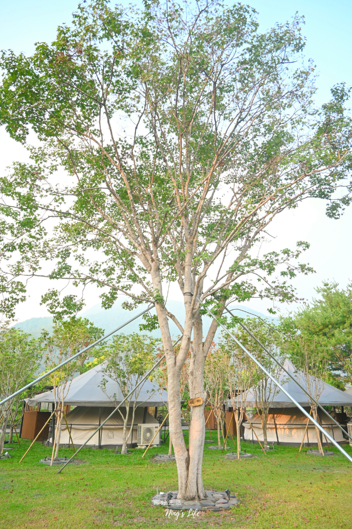 埔里春天度假村民宿|近5千坪庭園、山嵐景觀!可包棟、含早餐 - 第14張圖