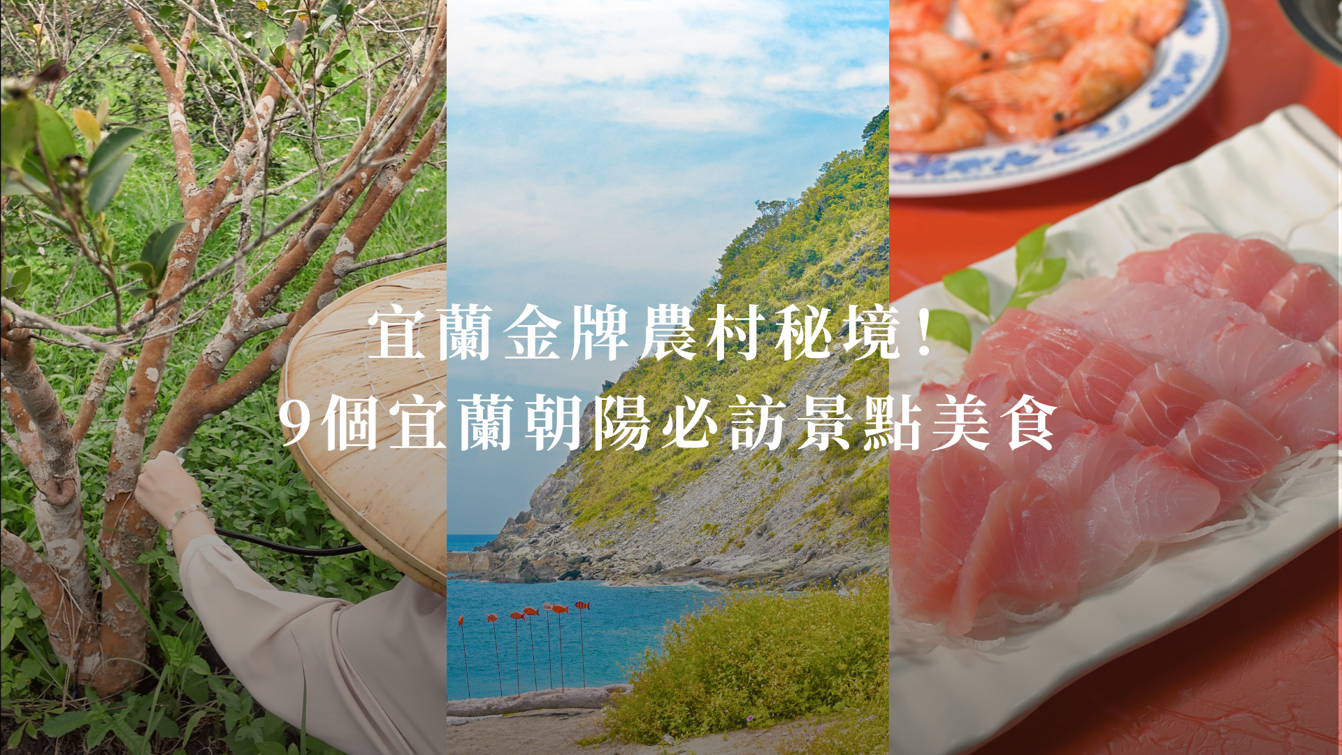 薔薇森林|藍帶甜點師法式餅乾禮盒 台中伴手禮暖心推薦 - 第22張圖