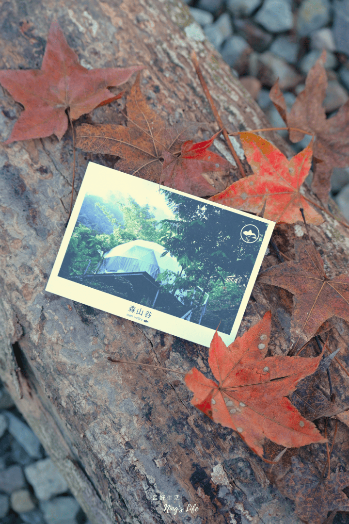 森山谷|私藏秘境!群山擁抱1泊3食假期 南投質感懶人露營評分最高 - 第34張圖 南投中寮低密度豪華懶人露營推薦森山谷評價訂房@寗好生活