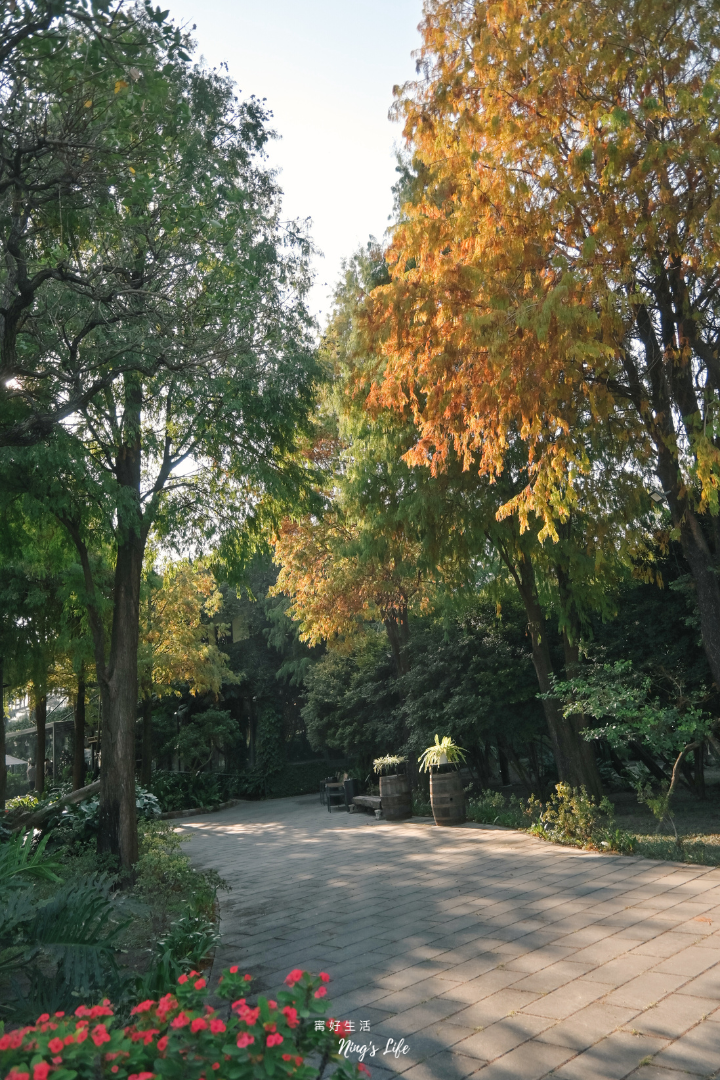 家園藝術咖啡牛排館|彰化40年落羽松庭園餐廳!經典牛排、隱藏版龍蝦必點 - 第8張圖 彰化北斗落羽松庭園牛排龍蝦聚餐親子餐廳推薦家園藝術咖啡牛排館菜單@寗好生活